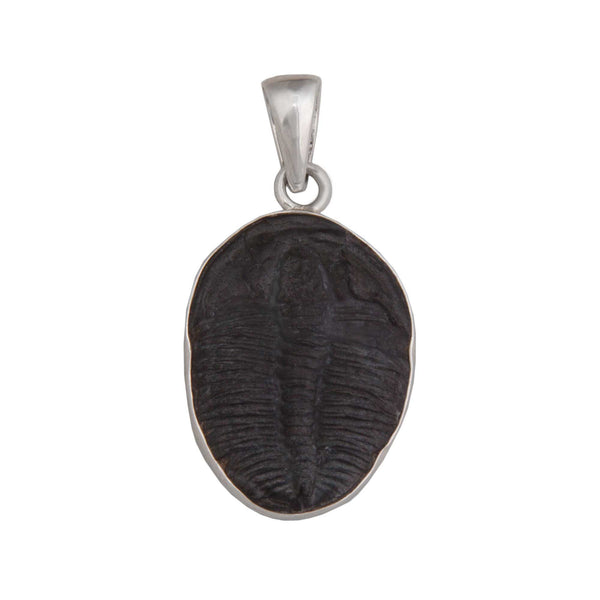 charles albert Sterling Silver Trilobite Pendant Sterling Silver Pendants
