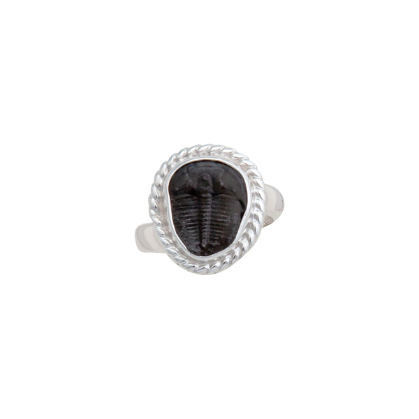 charles albert Sterling Silver Trilobite Rope Adjustable Ring Sterling Silver Rings