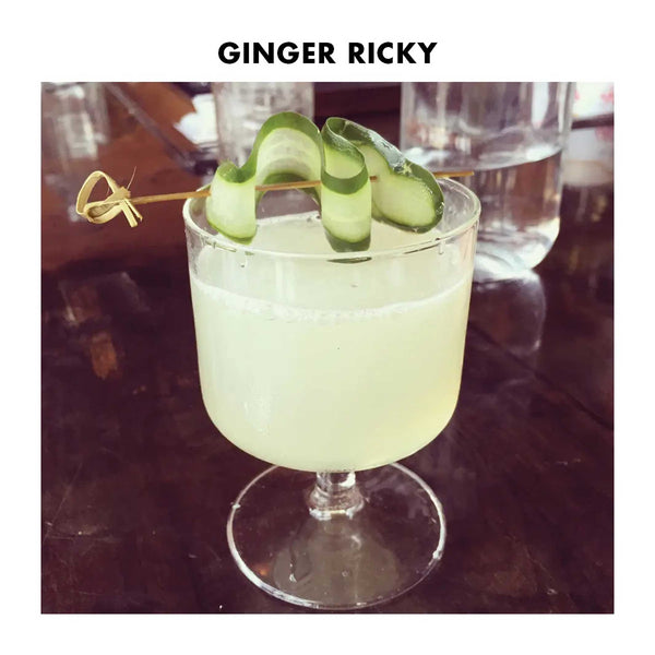 Charles And Marie 1PT GIN LOVER KIT | GIN COCKTAIL- & BAR-SET | Teroforma