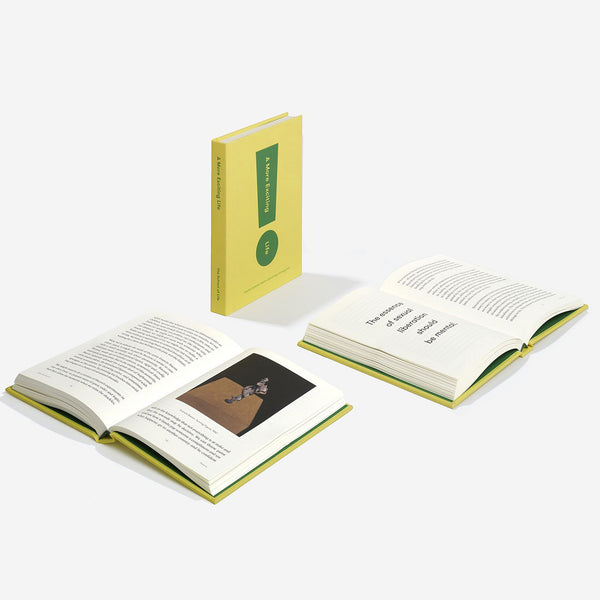 charles and marie A MORE EXCITING LIFE | BUCH | English Edition | The School of Life