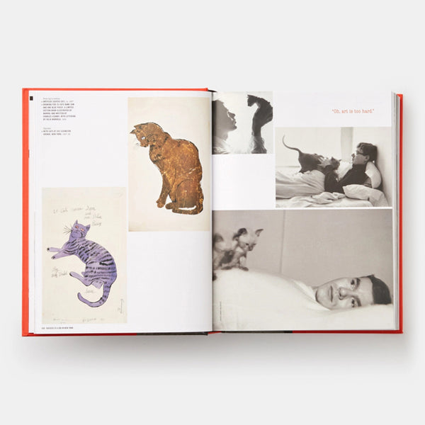 Charles And Marie ANDY WARHOL: "GIANT" SIZE - Buch | Dave Hickey | PHAIDON Verlag