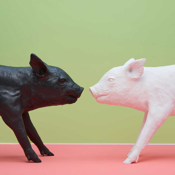 Charles And Marie BANK In Form Of A PIG | Großes SPARSCHWEIN | Harry Allen | Areaware