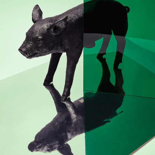 Charles And Marie BANK In Form Of A PIG | Großes SPARSCHWEIN | Harry Allen | Areaware