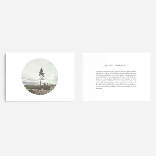 Charles And Marie CARDS FOR PERSPECTIVE | 20er KARTEN-SET | English Edition | The School Of Life