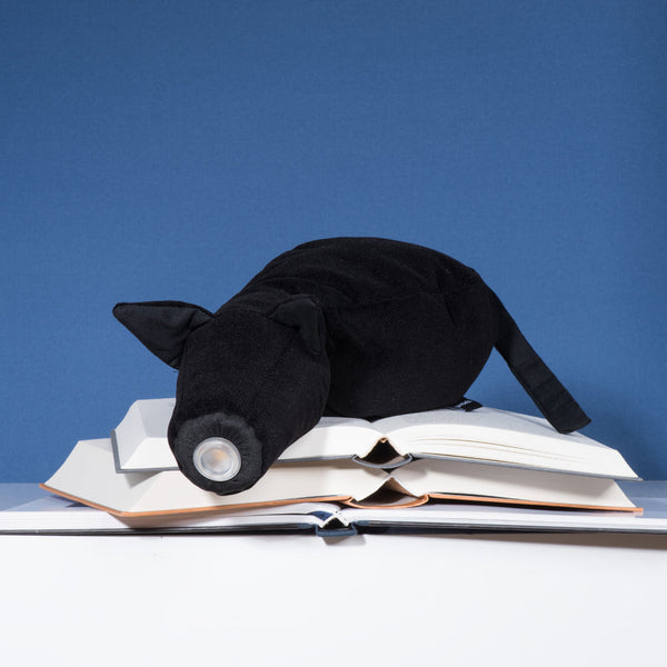 charles and marie Leseleuchte - HENRY | Jundado