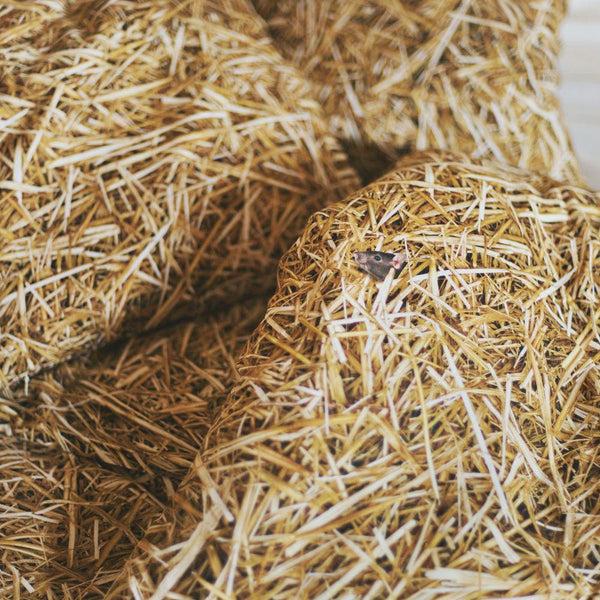 Charles And Marie STROH - Bettwäsche | Foonka