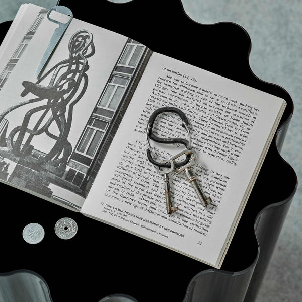 Charles And Marie COACHWHIP | Schwarzer KARABINER | Craighill