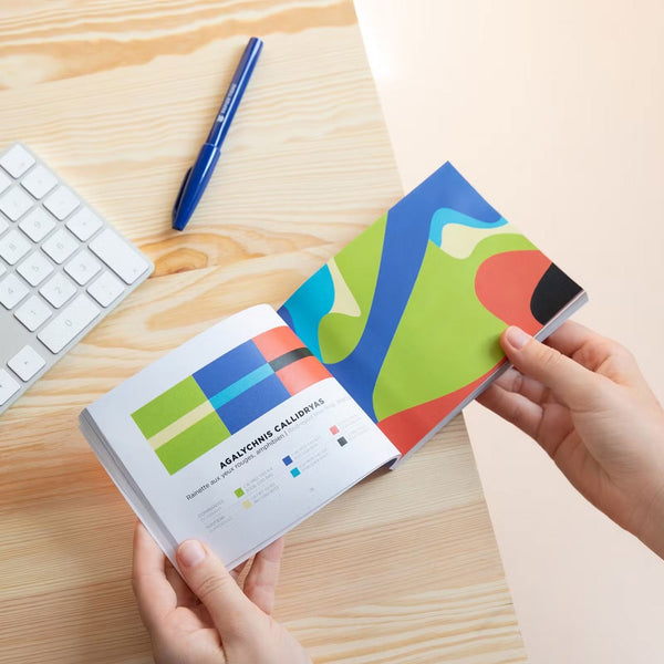 Charles And Marie COLOR INSPIRATION | VOLUME 2 | FARBINSPIRATIONS-BUCH | Papier Tigre