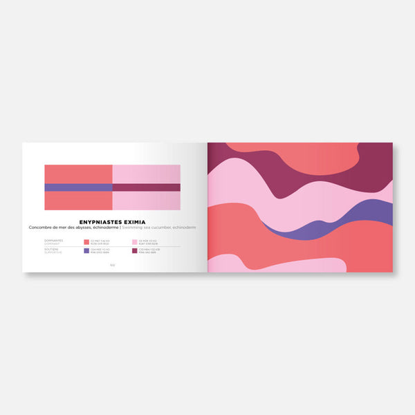 Charles And Marie COLOR INSPIRATION | VOLUME 2 | FARBINSPIRATIONS-BUCH | Papier Tigre