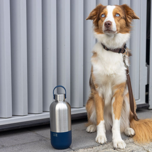 Charles And Marie Edelstahl Trinkflasche - 1000ml | noma Noma