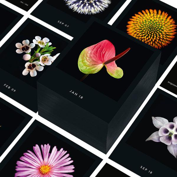 Charles And Marie FLAMBOYANT FLOWERS | A Flower A Day | Blumen KALENDER | Nicolas Mériel | Seltmann+söhne