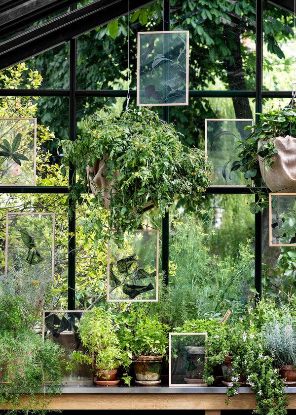 Charles And Marie FLOATING LEAVES - Durchsichtiges Poster | Moebe