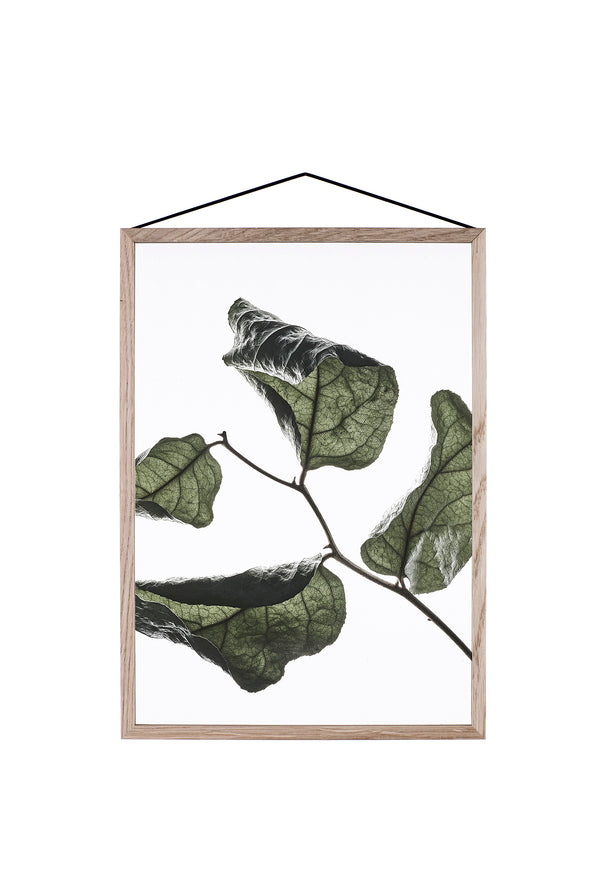 Charles And Marie FLOATING LEAVES - Durchsichtiges Poster | Moebe