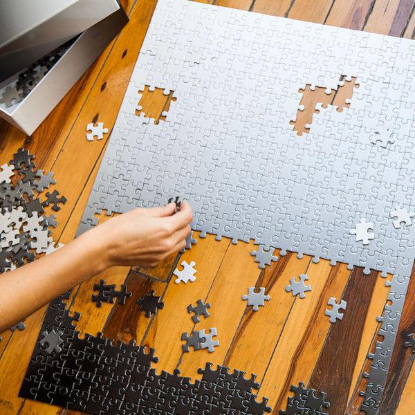 Charles And Marie GRADIENT | FARBVERLAUF PUZZLE | 500 Teile | Bryce Wilner | Areaware