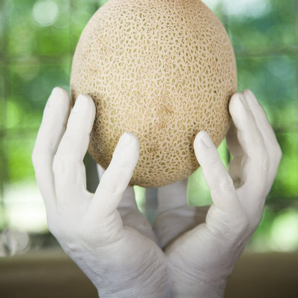 charles and marie HAND BOWL | SCHALE | Harry Allen | Areaware