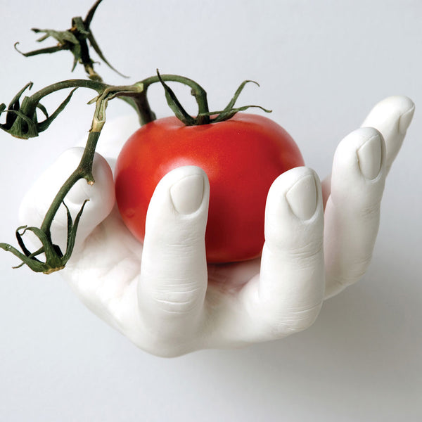 charles and marie HAND HOOKS | HAND-WANDHAKEN & SCHALEN | Harry Allen | Areaware