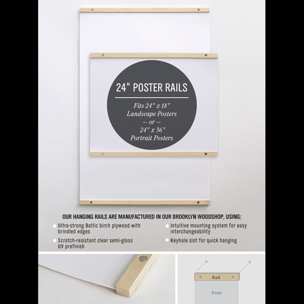 Charles And Marie HANGING RAILS | BILDERLEISTEN | Für 18 24 Oder 39" Breite Bilder | Pop Chart Lab