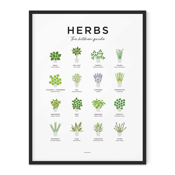 Charles And Marie HERBS GUIDE - Kräuter Poster 40x50 Cm | Everlong Print