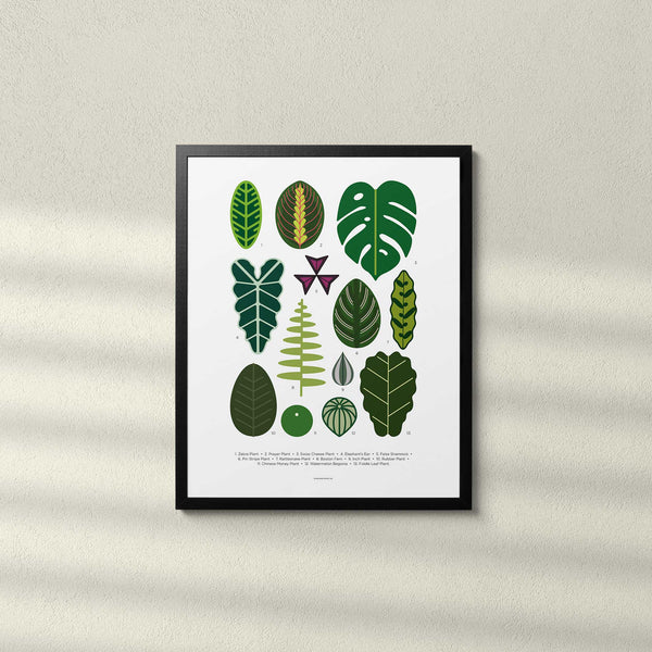 Charles And Marie HOUSE PLANT LEAVES - Zimmerpflanzen-Blätter Poster 40x50 Cm | Everlong Print