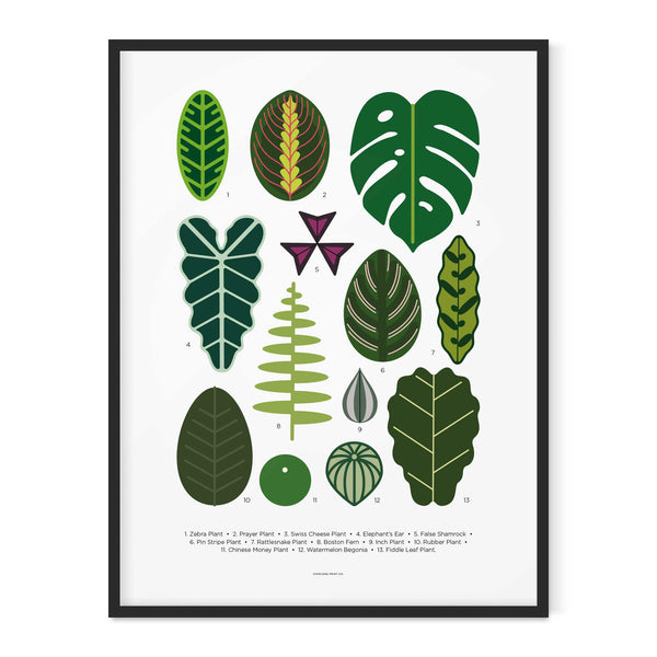 charles and marie HOUSE PLANT LEAVES - Zimmerpflanzen-Blätter Poster 40x50 cm | Everlong Print