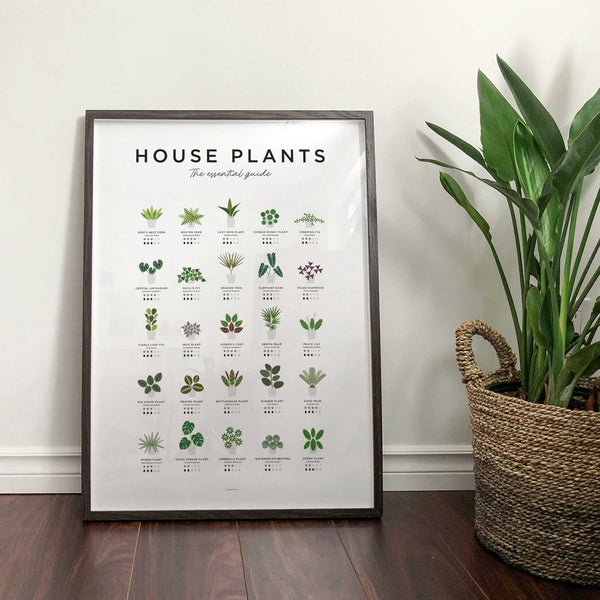 Charles And Marie HOUSE PLANTS GUIDE - Zimmerpflanzen Poster 40x50 Cm | Everlong Print