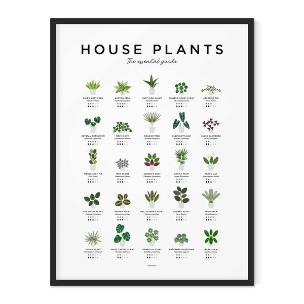 charles and marie HOUSE PLANTS GUIDE - Zimmerpflanzen Poster 40x50 cm | Everlong Print