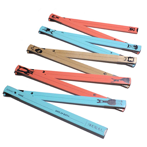 Charles And Marie KIDS LIFE METER | KINDERMESSLATTE | Donkey Products