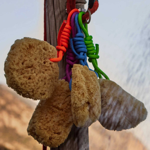 Charles And Marie Mediterraner NATURSCHWAMM Mit Bunter PET Kordel | Suite702