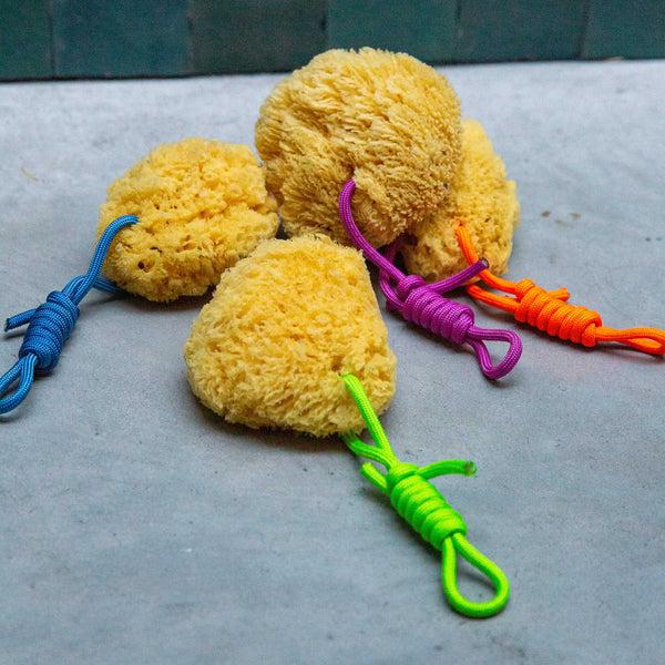 charles and marie Mediterraner NATURSCHWAMM mit bunter PET Kordel | Suite702