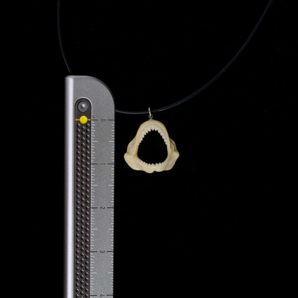 Charles And Marie METROLOG RULER - Aluminium Lineal - 20 Cm Oder 8 Inches | Craighill