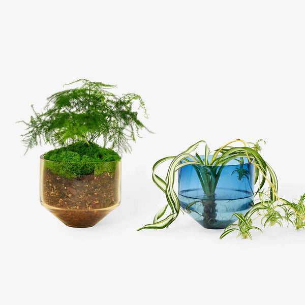 charles and marie MODEL THREE PLANTER | BLUMENTOPF & PFLANZGEFÄSS | D=15 cm | Sam Bigio | Areaware