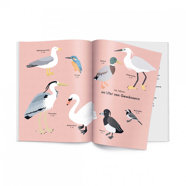 Charles And Marie ORNITHORAMA | Die Wunderbare Welt Der VÖGEL | KINDER-WISSENBUCH | Lisa Voisard | Helvetiq