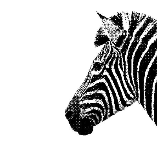 Charles And Marie PIXEL | Zweiseitiges XL Ausmal-POSTER | 65x100cm | Stratier