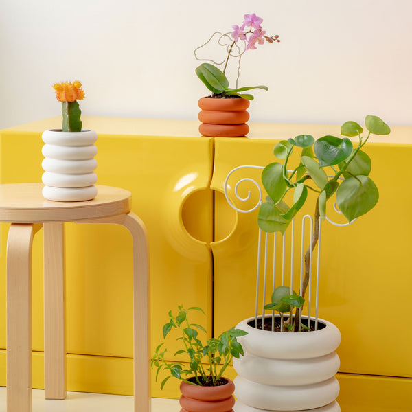 Charles And Marie PLANT TRELLIS | PFLANZEN-RANKGITTER | Chen Chen & Kai Williams | Areaware