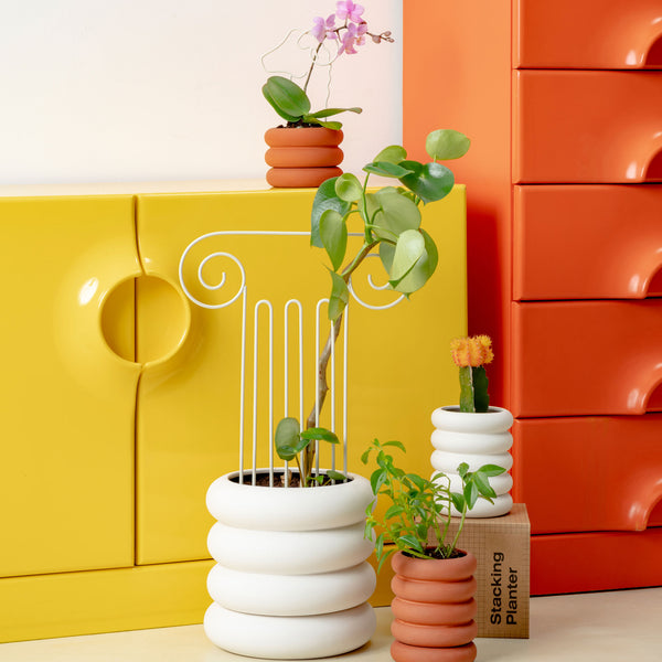 Charles And Marie PLANT TRELLIS | PFLANZEN-RANKGITTER | Chen Chen & Kai Williams | Areaware