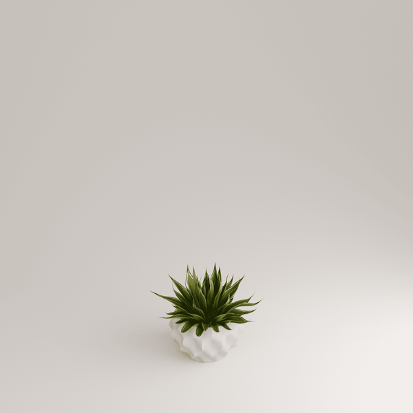 Charles And Marie PLISSAN M - Porzellan BLUMENTOPF & PFLANZGEFÄSS - 21 Cm ⦰ | Holaria