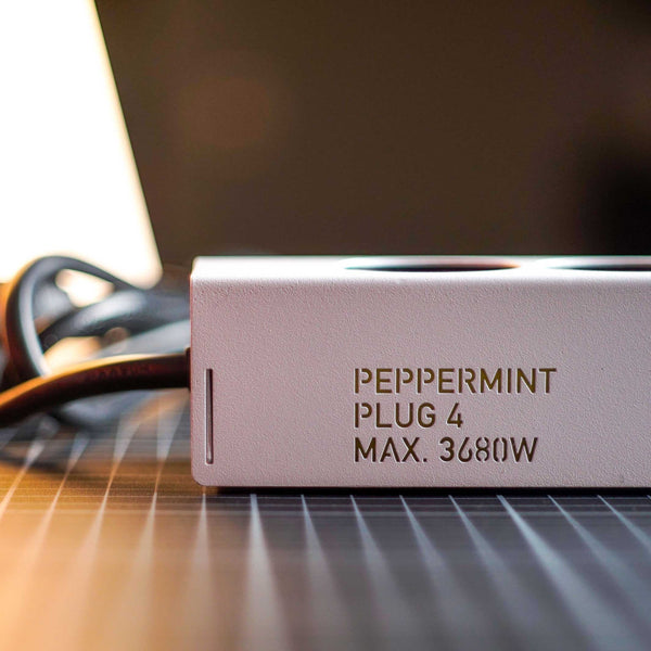 Charles And Marie PLUG 4 | 4er MEHRFACH-STECKDOSEN-LEISTEN | Matte Stahlverkleidung | Peppermint Products