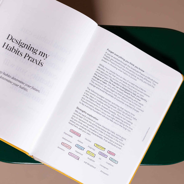 Charles And Marie PRAXIS METHOD™️ | 3 Englische TAGEBÜCHER | Mindfulness Gratítude & Habits | Karst Stone Paper