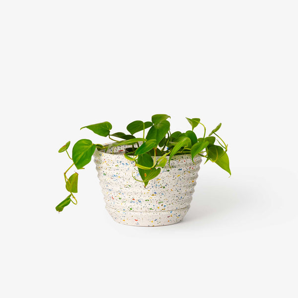 charles and marie RACINE PLANTER CONFETTI - Blumentopf | Frank Lloyd Wright | Areaware