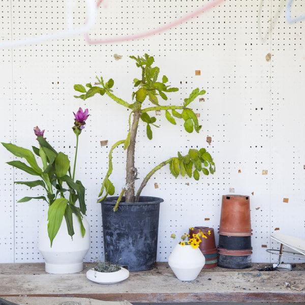 Charles And Marie RADIAL VESSELS - BLUMENGEFÄSSE - Pete Oyler | Areaware