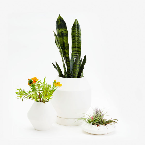 charles and marie RADIAL VESSELS - BLUMENGEFÄSSE - Pete Oyler | Areaware