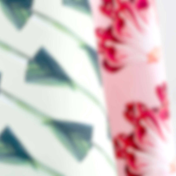 Charles And Marie RADICCHIO & PORRI | GESCHIRRTÜCHER Aus Baumwolle | 2er Set | Roman Luyken | Peppermint Products