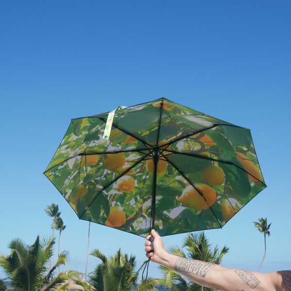 charles and marie Regenschirm LEMON - klein | HAPPYSWEEDS