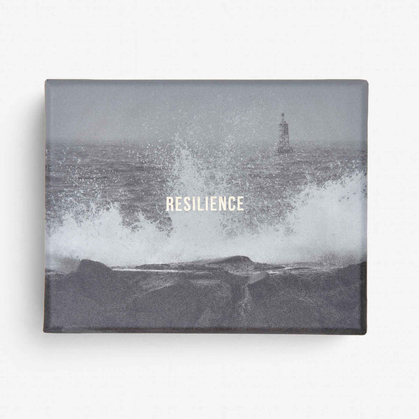 Charles And Marie RESILIENCE | LERNKARTEN-SET | Englische Edition | The School Of Life