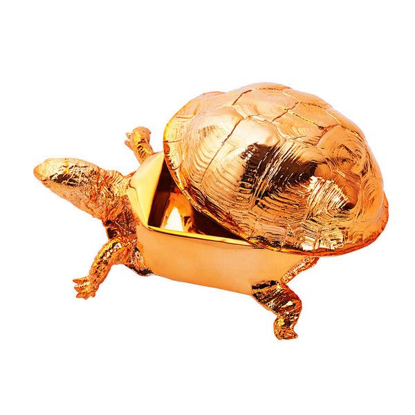 Charles And Marie SCHILDKRÖTEN BOX | Harry Allen | Areaware