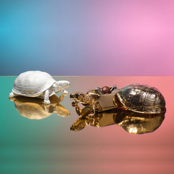 charles and marie SCHILDKRÖTEN BOX | Harry Allen | Areaware