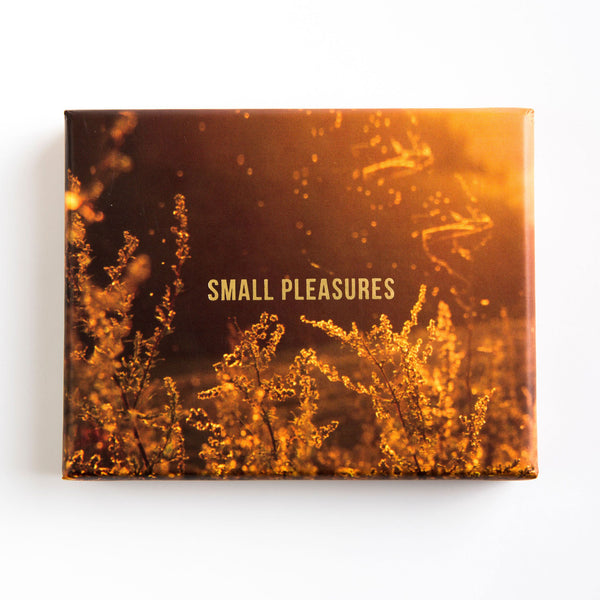 charles and marie SMALL PLEASURES | KARTENSET | Englische Edition | The School of Life