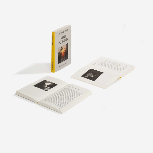 Charles And Marie SMALL PLEASURES - Taschenbuch - English Edition | The School Of Life