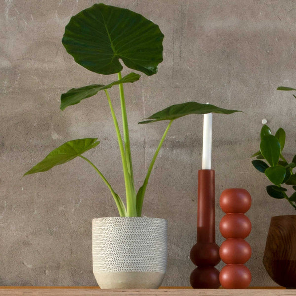 Charles And Marie STACK - 2-in-1 Multifunktionaler Holz-Kerzenhalter 32 Cm Hoch | Lemon Lily