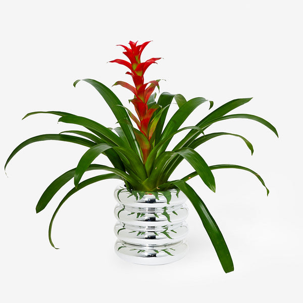 charles and marie STACKING PLANTER CHROM | großes BLUMENGEFÄSS | Chen Chen & K. William | Areaware